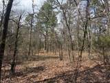  Turkey Creek Road - Photo 4