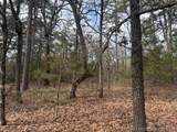  Turkey Creek Road - Photo 6