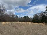  Turkey Creek Road - Photo 7