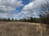  Turkey Creek Road - Photo 9