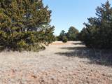 2441 Rock Creek Road - Photo 7