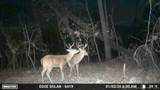  4637 Road - Photo 11