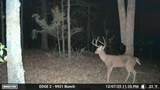  4637 Road - Photo 12