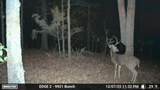  4637 Road - Photo 13