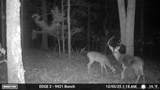  4637 Road - Photo 14