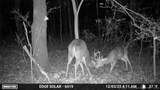  4637 Road - Photo 15