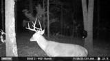  4637 Road - Photo 17