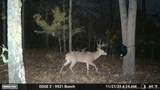  4637 Road - Photo 18