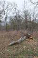  4637 Road - Photo 2