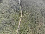 93803 4729 Road - Photo 7