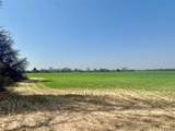  Bellview Street - Photo 14
