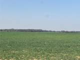  Bellview Street - Photo 8