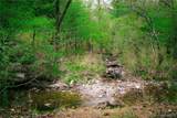 207 Lookout Pines - Photo 44