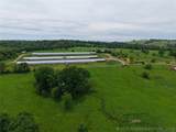 36757 Petetree - Photo 15
