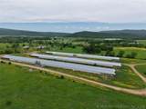 36757 Petetree - Photo 2