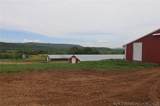 36757 Petetree - Photo 7