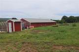 36757 Petetree - Photo 9
