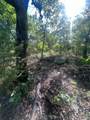 02 Rural Route - Photo 11