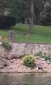 31350 618 Road - Photo 4