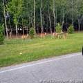 31350 618 Road - Photo 7