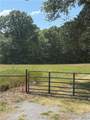 0000 Tamaha - Photo 1