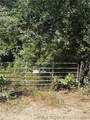 0000 Tamaha - Photo 4