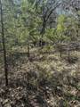  Turtle Creek - Photo 2