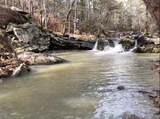  Miller Jumbo Road - Photo 1