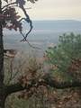  Miller Jumbo Road - Photo 10