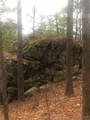  Miller Jumbo Road - Photo 3
