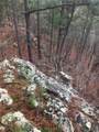  Miller Jumbo Road - Photo 6