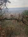  Miller Jumbo Road - Photo 8