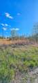 107 Lakeshore Drive - Photo 7