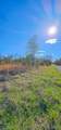 107 Lakeshore Drive - Photo 8