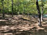  Indian Blanket Lane - Photo 4
