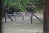 36977 Hwy 70 - Photo 10