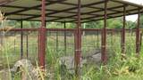 21470 County Road 1590 - Photo 28