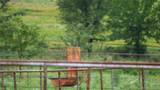 21470 County Road 1590 - Photo 35