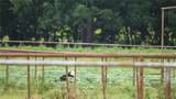 21470 County Road 1590 - Photo 39