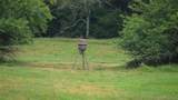 21470 County Road 1590 - Photo 41