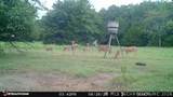 21470 County Road 1590 - Photo 91
