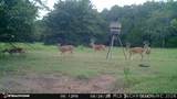 21470 County Road 1590 - Photo 92