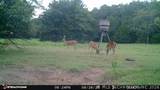 21470 County Road 1590 - Photo 93