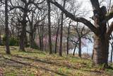 397516 2700 Road - Photo 46