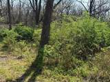 15253 Colt Drive - Photo 6