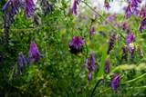 103051 3810 - Photo 42
