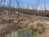  Hwy 100 - Photo 8