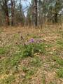 0000 Milam Road - Photo 12
