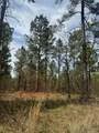 0000 Milam Road - Photo 13