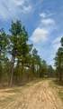 0000 Milam Road - Photo 16